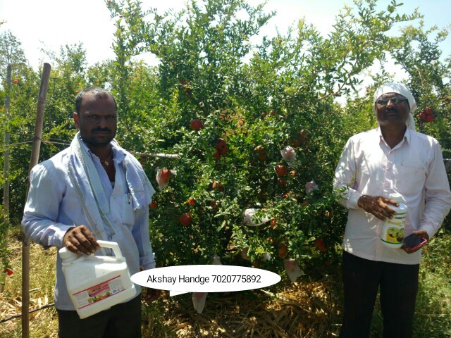 Green Planet Bio Products Nashik Mobile  shop Nashik